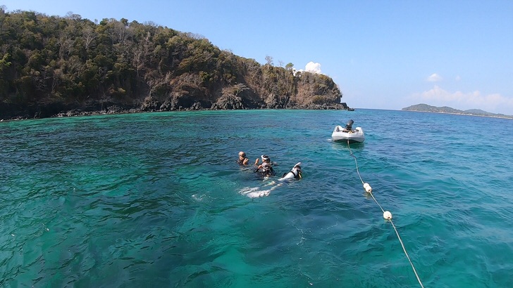 リペ島のアクティビティ　ダイビング